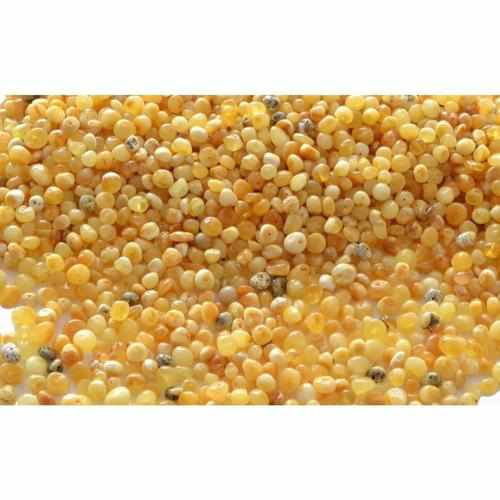 Adult Ambrosia Polished Butterscotch Baltic Amber Anklet