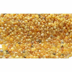 Adult Ambrosia Polished Butterscotch Baltic Amber Anklet