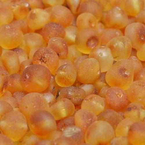 Adult Bees Knees Raw Honey Baltic Amber Necklace