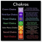Adult Chakra Amber Lava Rock Volcanic Stone Stretch Bracelet