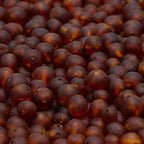 Adult Cocoa Raw Cognac Baltic Amber Anklet