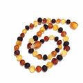 Adult Shingle Raw Mixed Baltic Amber Anklet 26cm (L Adult Ankle)