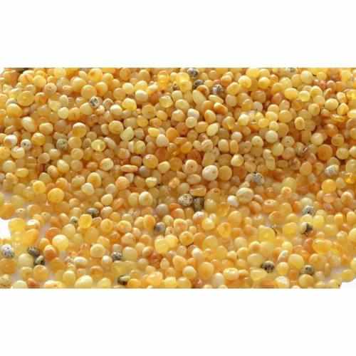 Child Ambrosia Polished Butterscotch Baltic Amber Anklet Bracelet