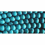 Child Azure Blue Turquoise Howlite Cognac Baltic Amber Anklet Bracelet