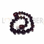 Child Blackforest Polished Dark Cherry Baltic Amber Anklet Bracelet 19cm (XL)