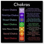 Child Chakra Gemstone Polished Cognac Baltic Amber Anklet Bracelet