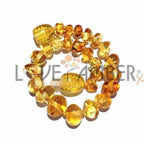 Child Honeypot Polished Honey Baltic Amber Anklet Bracelet 19cm (XL)
