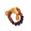 Child Ombre Raw Rainbow Baltic Amber Anklet Bracelet 19cm (XL)