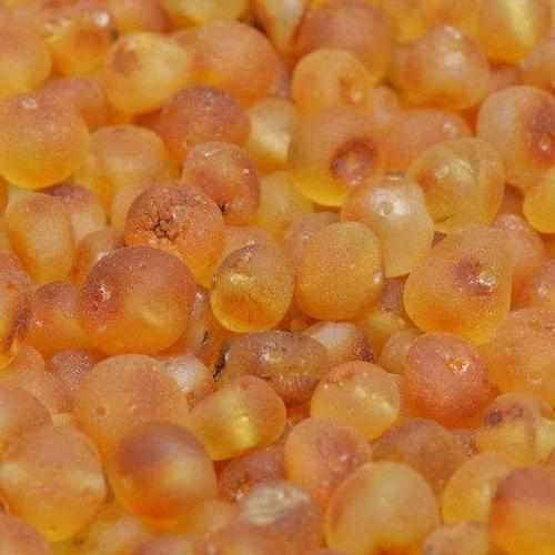 Child Pippin Raw Green Honey Baltic Amber Anklet Bracelet