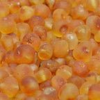 Child Pippin Raw Green Honey Baltic Amber Anklet Bracelet