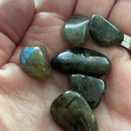 Labradorite Tumblestone Gemstone 1 Piece | Calm Anxiety & Stress