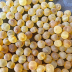 Premium Loose Baltic Amber Beads Large Raw Unpolished Adult 7 - 8mm Raw Honey Adult 7 - 8mm Bead