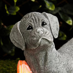 Solar Dog Garden Ornament with LED Light