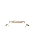 "Praying for your Caviar" Silver Praying Mantis and Shell Tray