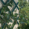Expanding Garden Trellis Wooden Plant Flower Support Screen Panel Wall Green