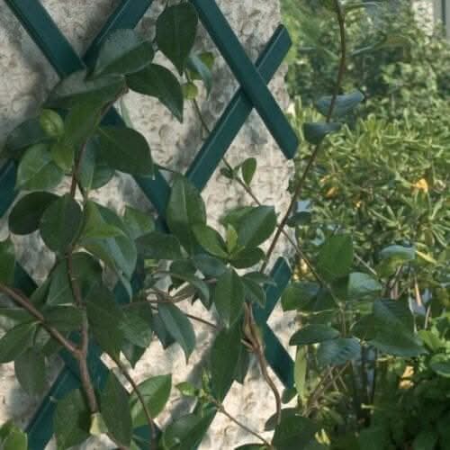 Expanding Garden Trellis Wooden Plant Flower Support Screen Panel Wall Green