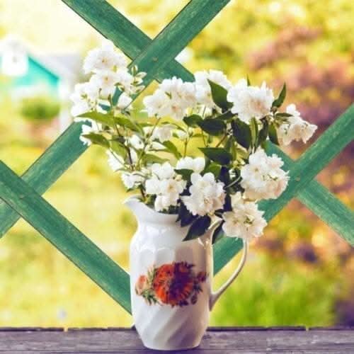 Expanding Garden Trellis Wooden Plant Flower Support Screen Panel Wall Green