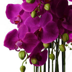 150cm Giant Purple Orchid Plant Artificial REAL TOUCH 189 flowers