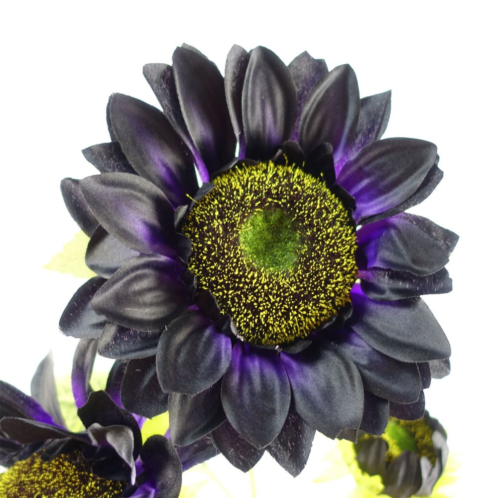 100cm Purple Sunflower Arrangement + Glass Vase - Complete Set for Stunning Display