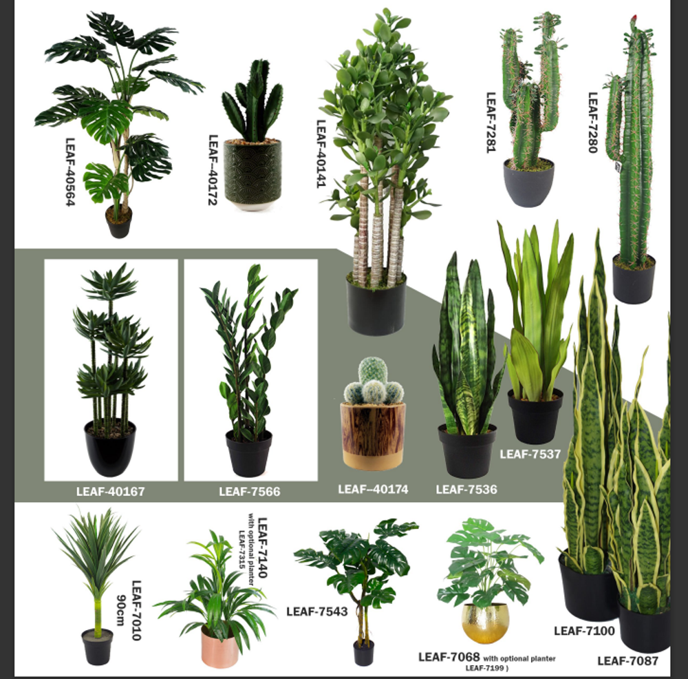 LARGE Tropical Plants Trees Exotic Tropical for Home or Office Display - Choice of Designs