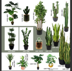 LARGE Tropical Plants Trees Exotic Tropical for Home or Office Display - Choice of Designs