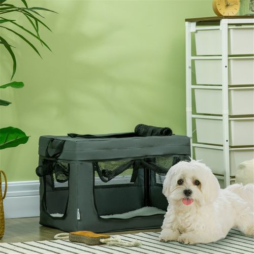 Decorative Pet Carrier