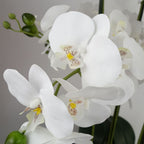 60cm Orchid Artificial White Gold Ceramic Planter