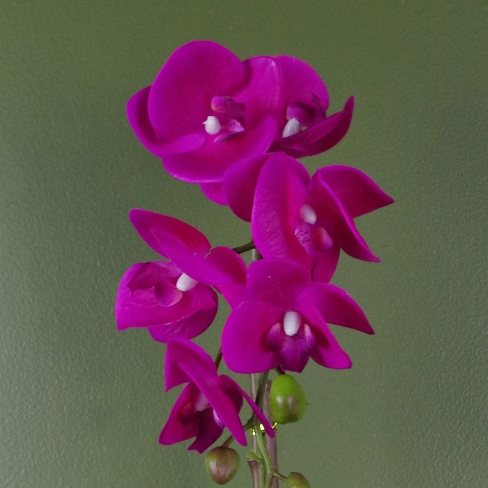 46cm Artificial Orchid - Dark Pink & Gold - Real Touch Leaves & Flowers - Plastic Decorative Pot - Craftsmanship