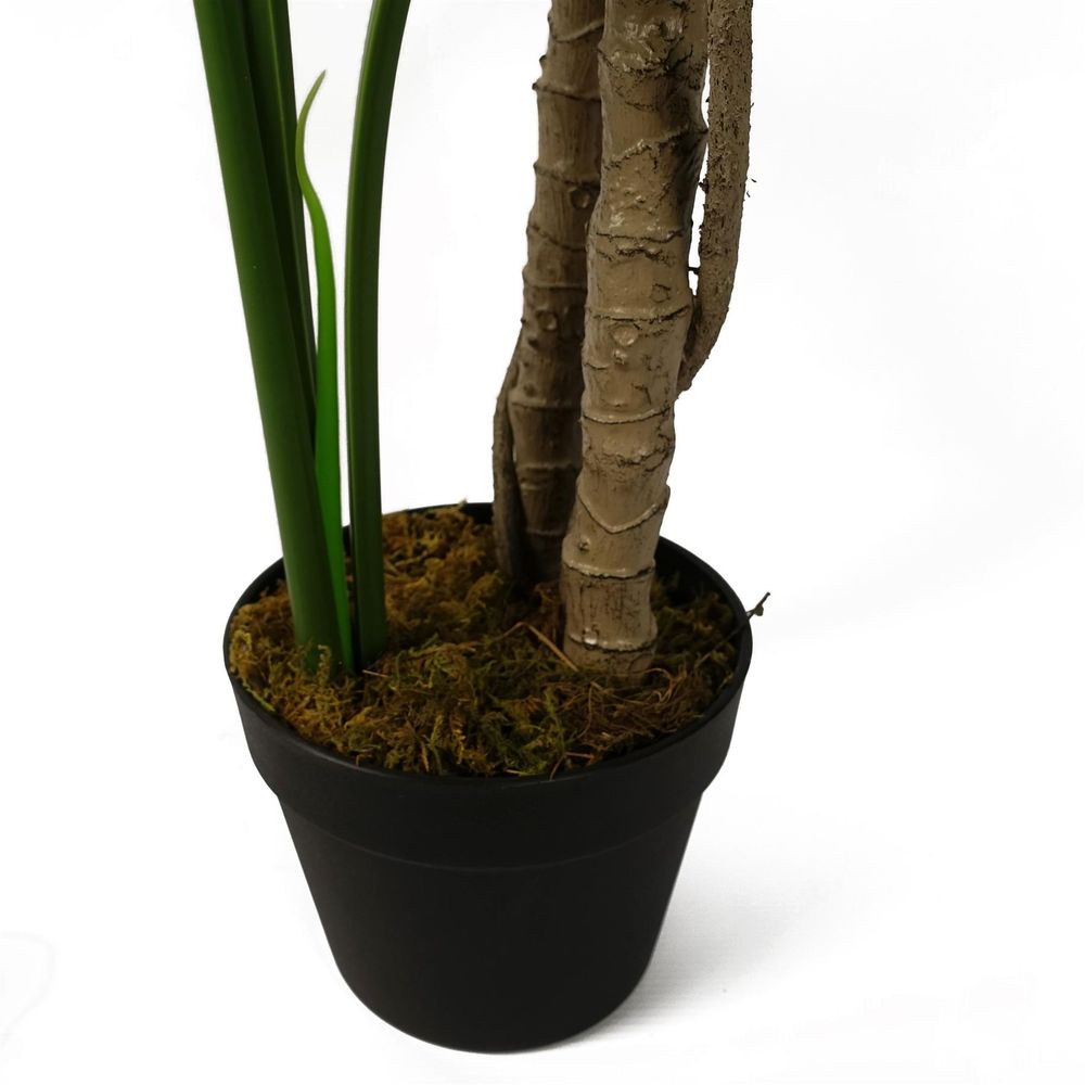 Luxury 150cm (5ft) Monstera Cheese Plant - Realistic, " Description: "Experience the luxury of a realistic, 150cm Monstera Cheese Plant. Comes potted in a sleek black pot. addition to any space