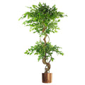 150cm Artificial Japanese Fruticosa Ficus Tree - Twisted Trunk - Copper Planter
