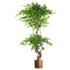 150cm Artificial Japanese Fruticosa Ficus Tree - Twisted Trunk - Copper Planter