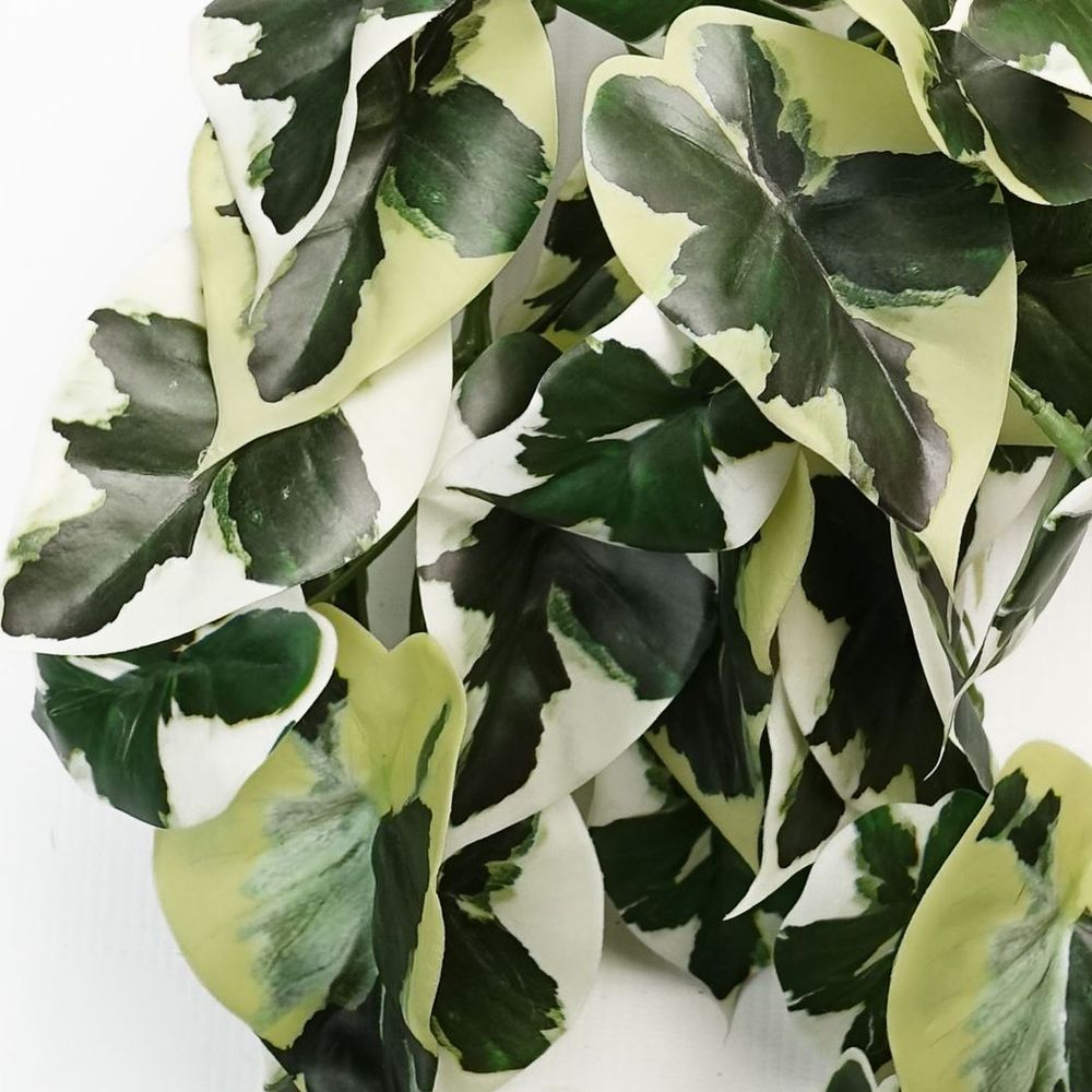 Natural Looking 40cm Trailing Marble Pothos - Artificial Plant