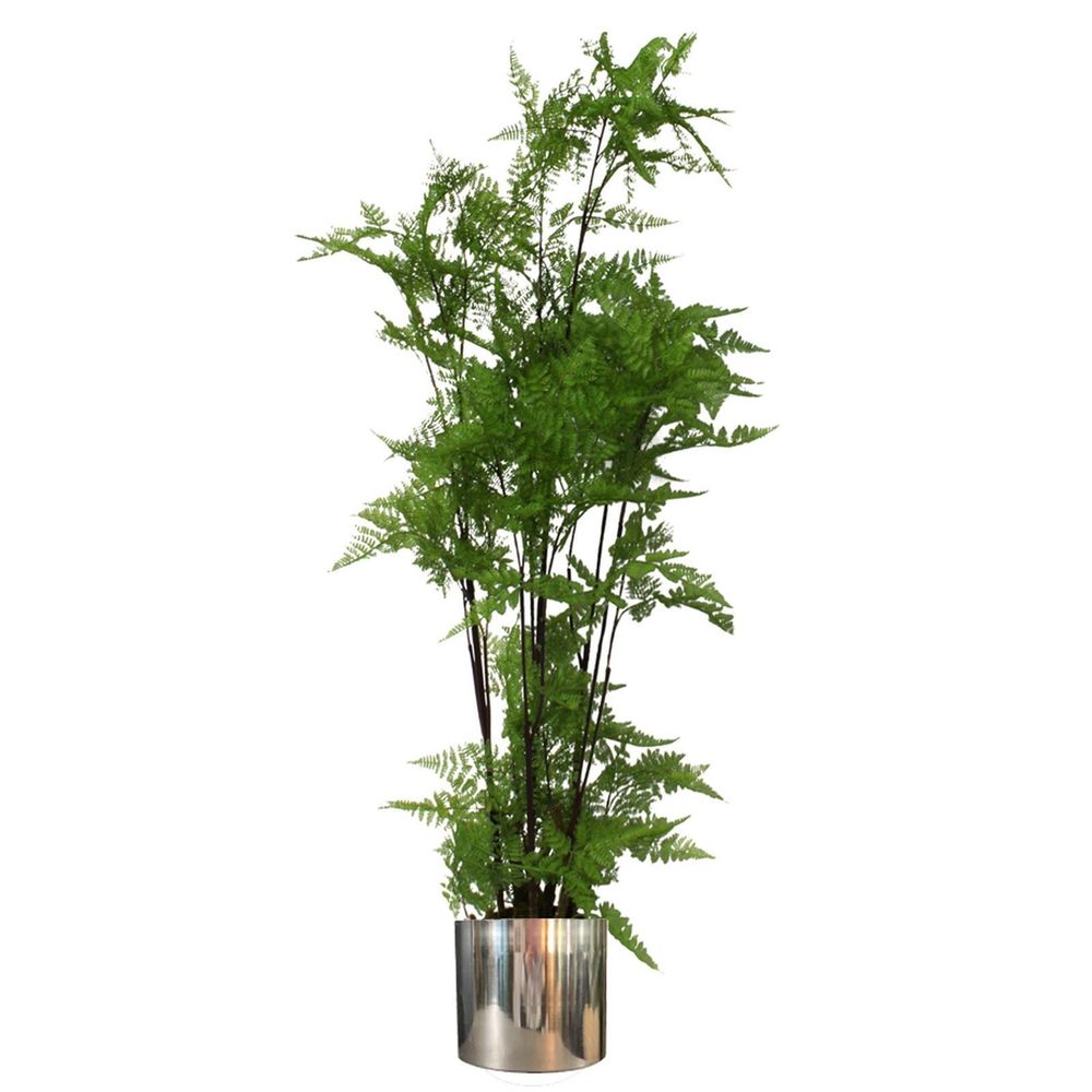 150cm Artificial Natural Moss Base Fern Foliage Plant with Silver Metal Planter