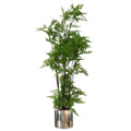 150cm Artificial Natural Moss Base Fern Foliage Plant with Silver Metal Planter