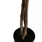 150cm Artificial Forsythia Tree