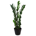 75cm Artificial Zanzibar Green Gem Zamioculcas Succulent Indoor Plant in Green