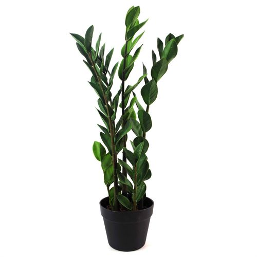 75cm Artificial Zanzibar Green Gem Zamioculcas Succulent Indoor Plant in Green