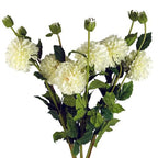 75cm Artificial Dahlia PomPom Flowers Cream