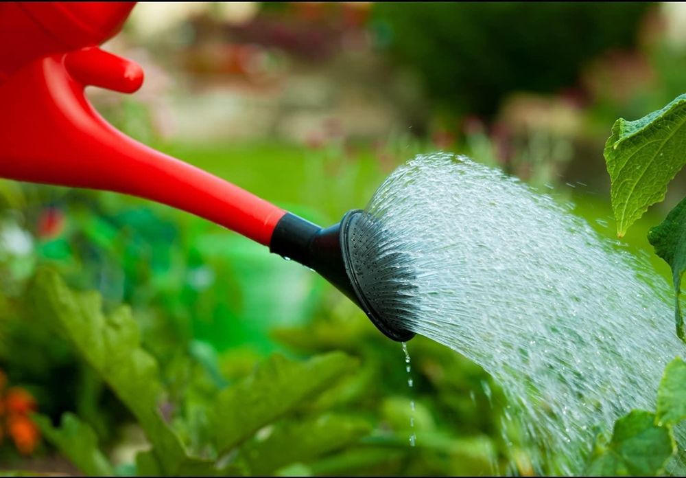 Whitefurze G28WC 6L Watering Can - Red - Multipurpose, Modern Design, Easy to Pour - Gardening Tool