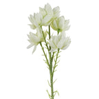 Natural Silk Starflower Stem 6-Pack - 30 Blooms - Beautiful Decorative Flowers