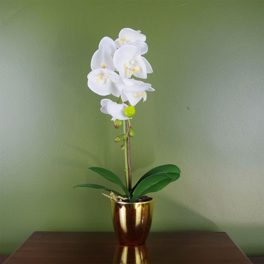 Realistic 46cm Artificial Orchid White / Gold, Real Touch Leaves + Pot
