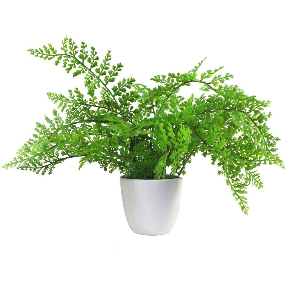 30cm Artificial Potted Royal Fern - Realistic & Indoor Plant