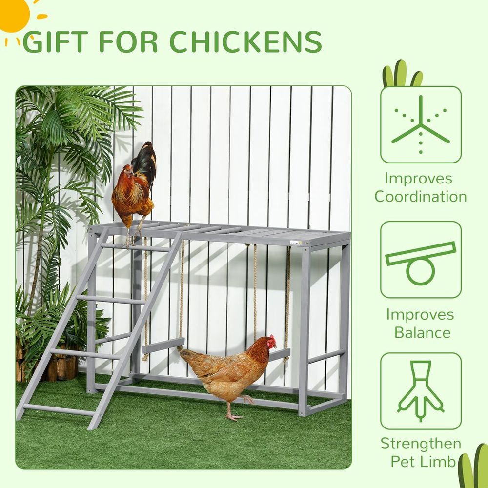 Chicken Activity Play Chicken Coop with Swing Set for 3-4 Birds, Grey