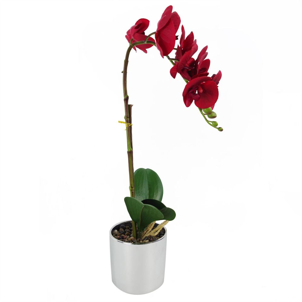 Red Orchid: Realistic, Silver Pot