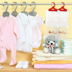 12Pc Hang Dehumid Bag