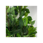 110cm Leaf Realistic Artificial Ficus Tree / Plant