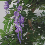 110cm Artificial Purple Wisteria Tree - Quality Copper Metal Planter
