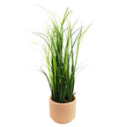 60cm Artificial Lemongrass Grass Plant