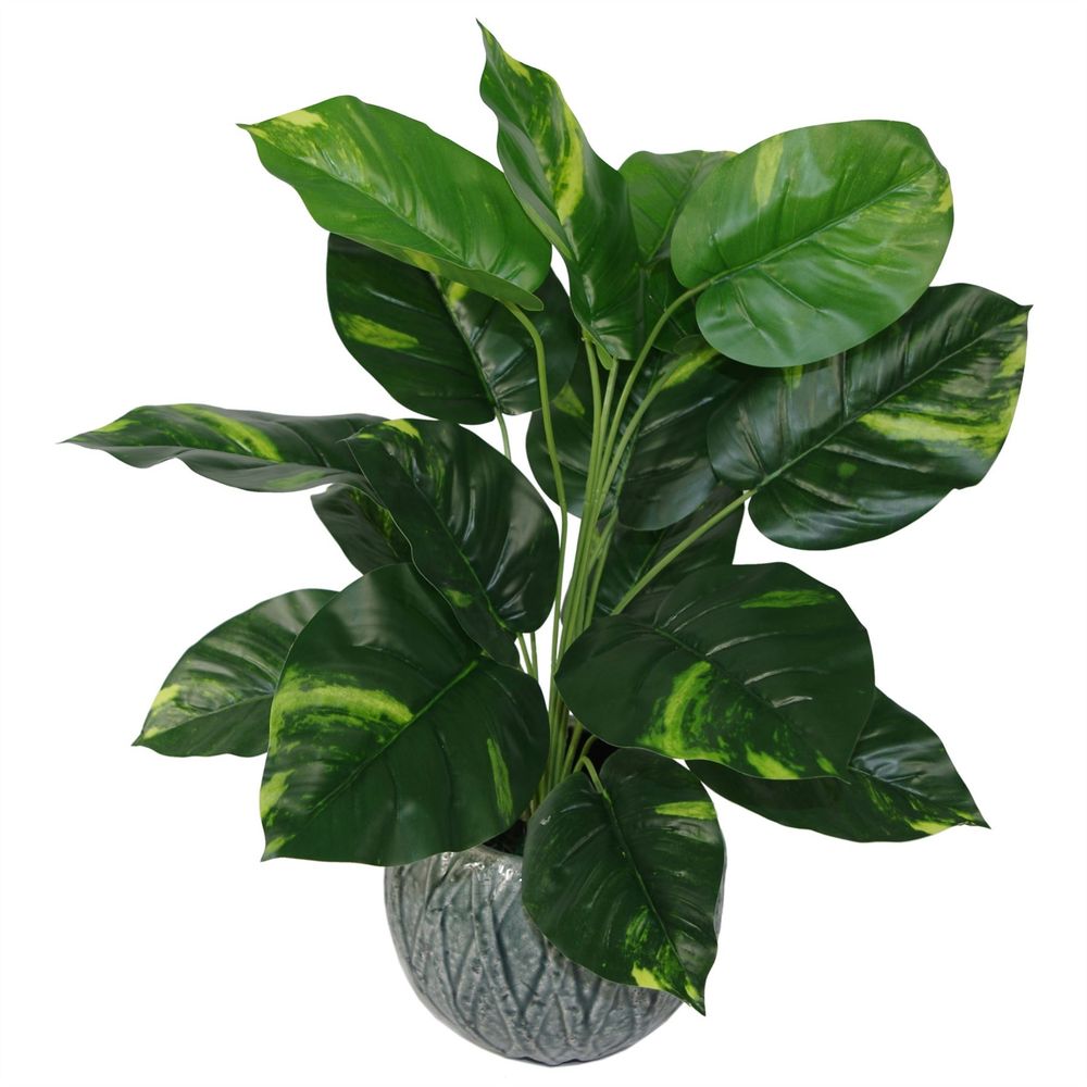 60cm Artificial Devil's Ivy (Scindapsus Aureus) Plant - Realistic Foliage, Ready-Potted