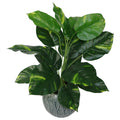 60cm Artificial Devil's Ivy (Scindapsus Aureus) Plant - Realistic Foliage, Ready-Potted